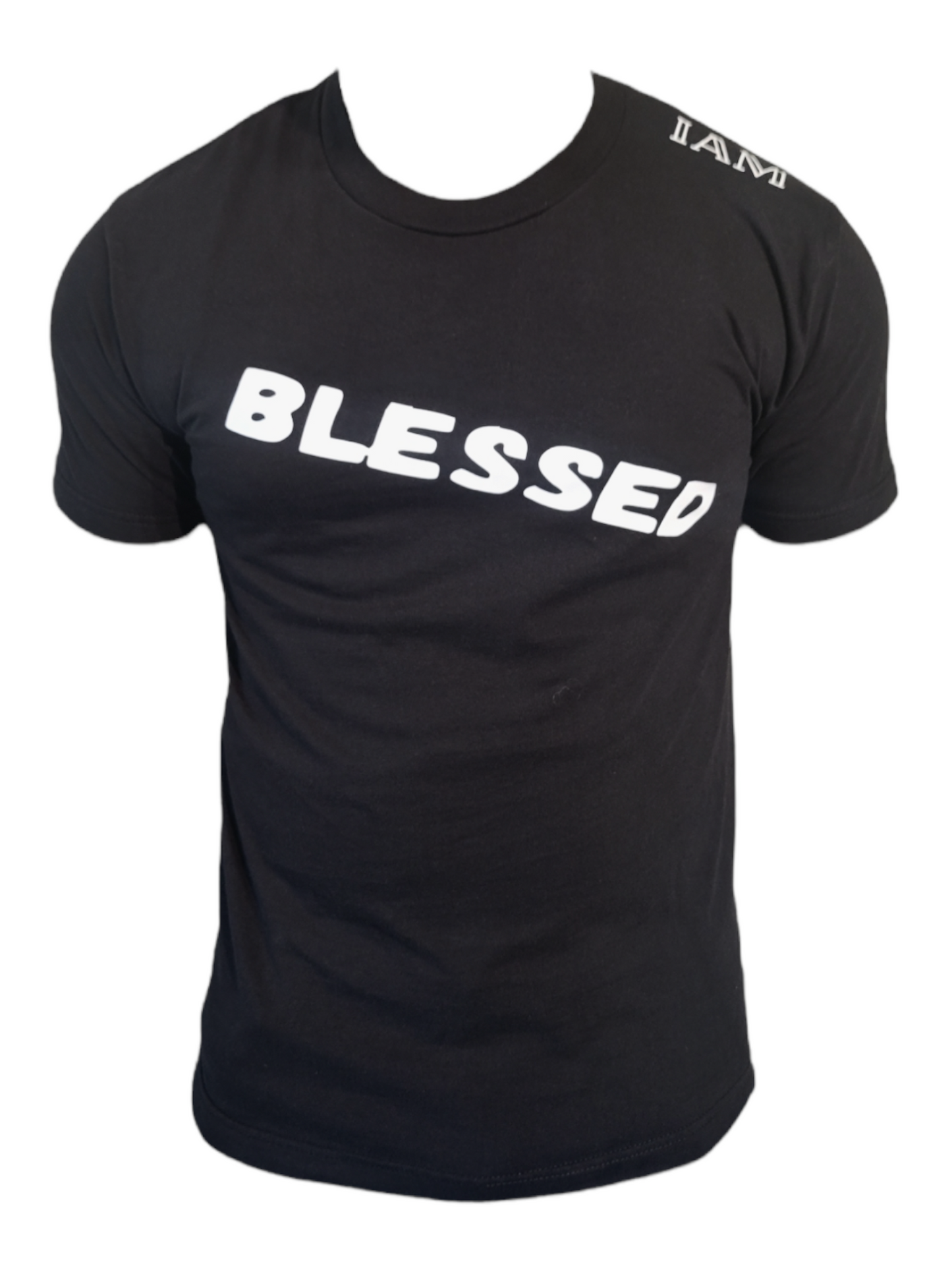 BLESSED/HIGHLY FAVORED t-shirt men